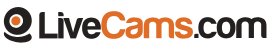 LiveCams Girls, Free Sex Cams, Sex 24/7