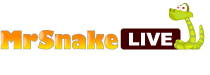 MrSnakeLive Girls, Free Sex Cams, Sex 24/7