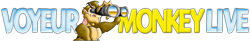 VoyeurMonkeyLive Girls, Free Sex Cams, Sex 24/7