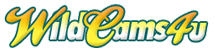 WildCams4u Girls, Free Sex Cams, Sex 24/7