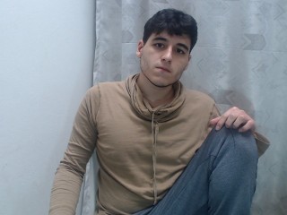 Lerialnedev