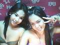 TSwildgirls