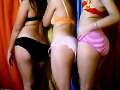 3WILDGIRLS