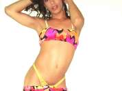HAYDEE