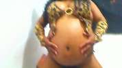 Wandela