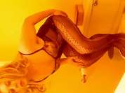 Ashleyyk88