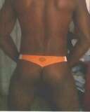 Pitbull30cm