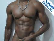 Blkk_Stallion