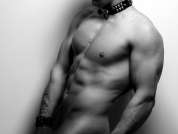 HotStallion