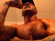 bull_dosemuscles