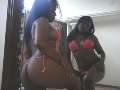 ALISHA is live now!