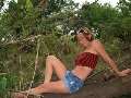 Picture $picx