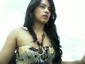 edidxxx