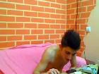 WildCupido