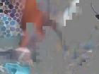 ChocolateDiamond