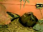 afroqueendd
