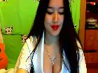 Gato_Blanco