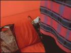 RelaxShow