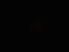 FetishGames
