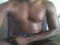 Ebony_Cock