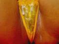 hotsweet7