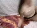 Peachypie is live now!