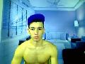 HAREX