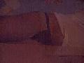 BIGSNAKE4U is live now!