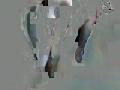 xafroditax