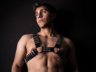 BigSinatra Se Desnudo en Vivo, Webcam Chico y Chat de Sexo | Jerkmate