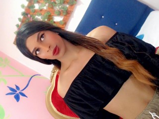 Trans Webcams