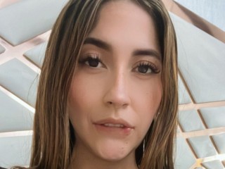 Indexed Webcam Grab of AlexaHass