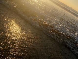 ReeseBoo
