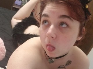 Indexed Webcam Grab of Kittysplaycorner