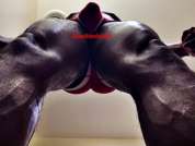ZaneSteeleXXX